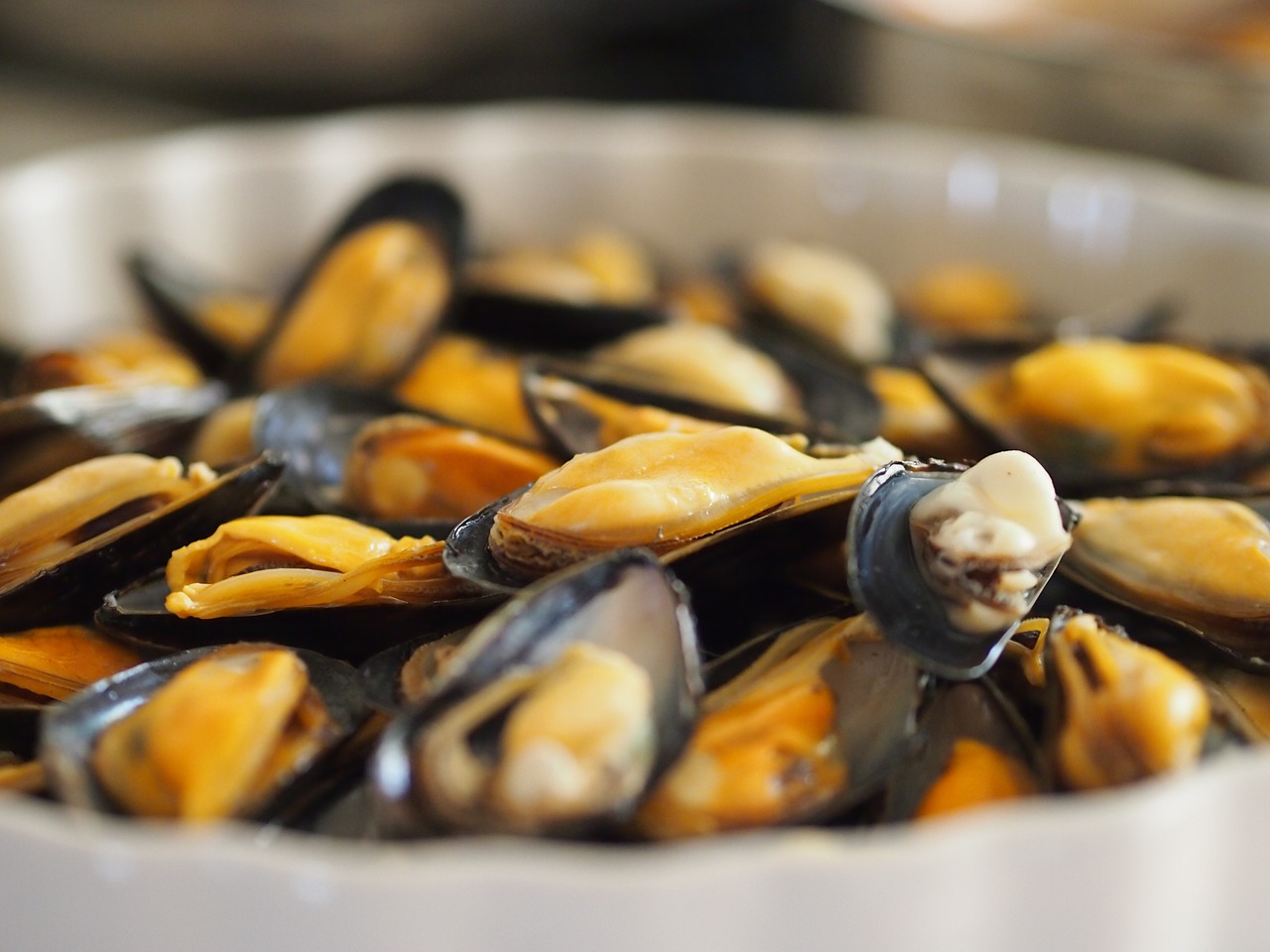 mussels