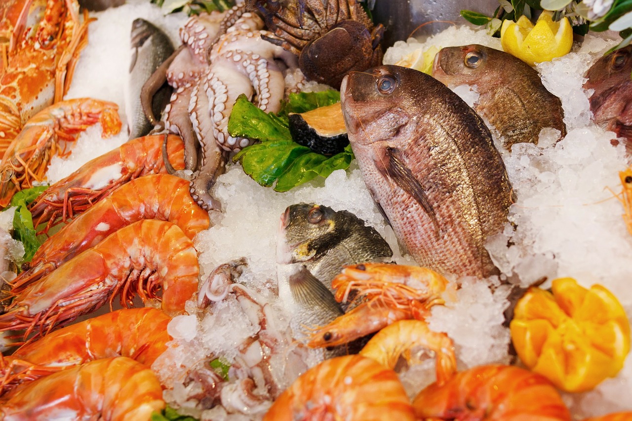 8 Facts You Need to Know about the Sustainable Seafood Coalition